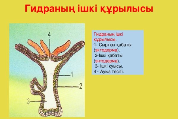 Кракен даркнет только через